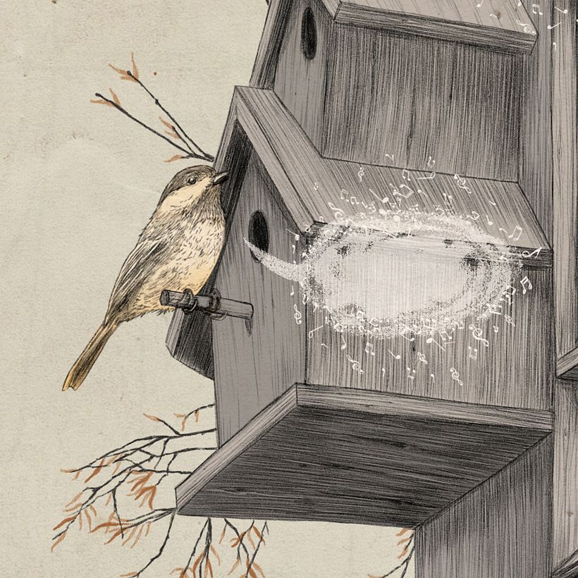 Ripresa con fumetto. Dettaglio