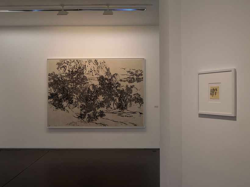 On Earth as in Heaven, Yang Jiechang, at the Jeanne Bucher Jaeger gallery
