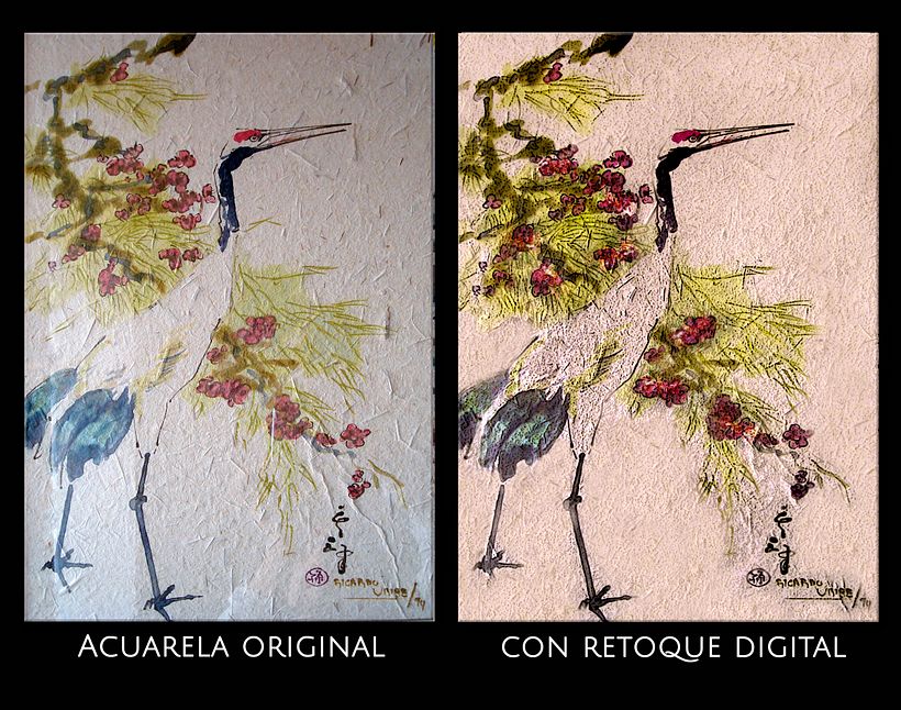 RETOQUE DIGITAL PARA ACUARELAS 0
