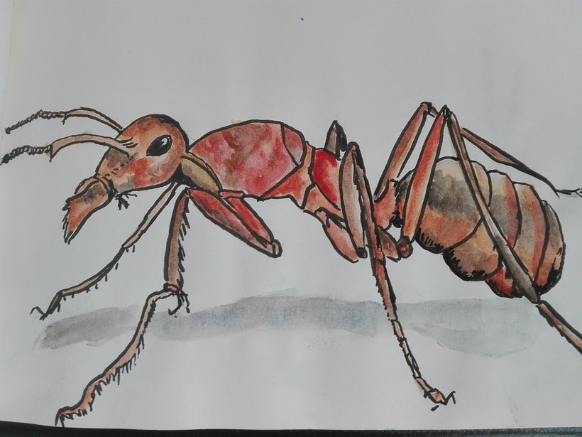 My project in The Art of Sketching: Transform Your Doodles into Art course 3