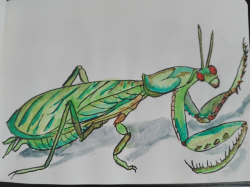 My project in The Art of Sketching: Transform Your Doodles into Art course 4