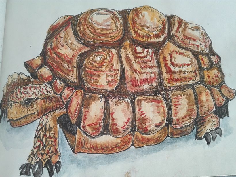 My project in The Art of Sketching: Transform Your Doodles into Art course 7