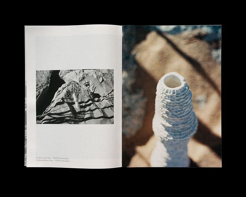 La Alfarera — Coral Collection 6