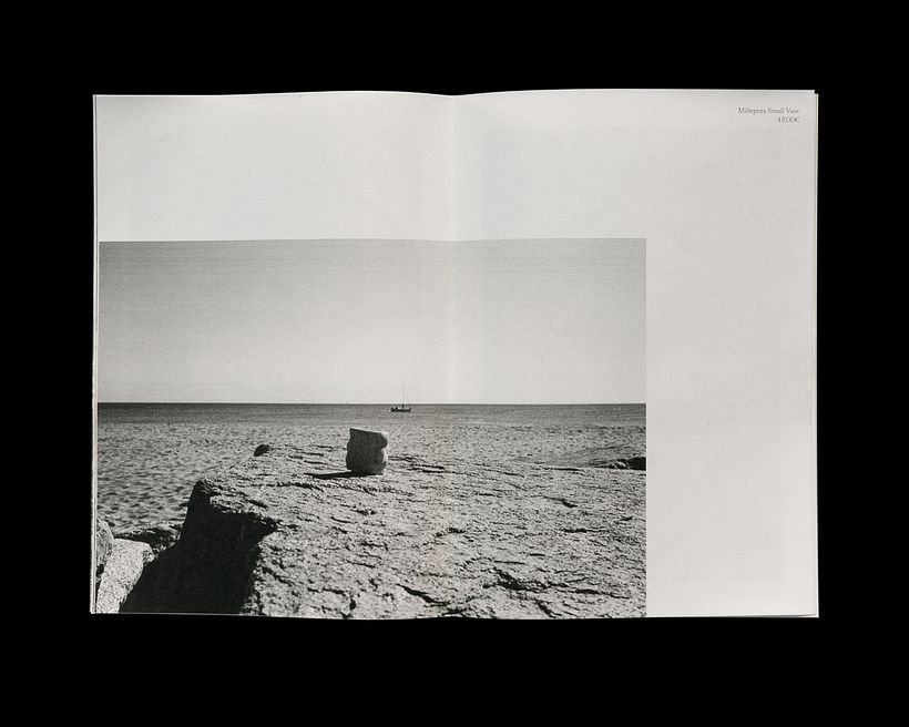 La Alfarera — Coral Collection 8