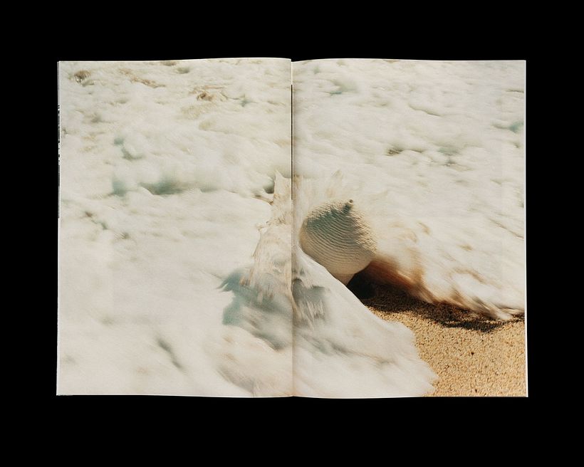 La Alfarera — Coral Collection 10