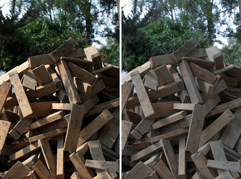 Hard light vs. diffused light. Zony Maya