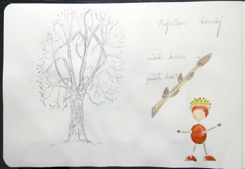 My project in Botanical Watercolor Sketchbook course 1