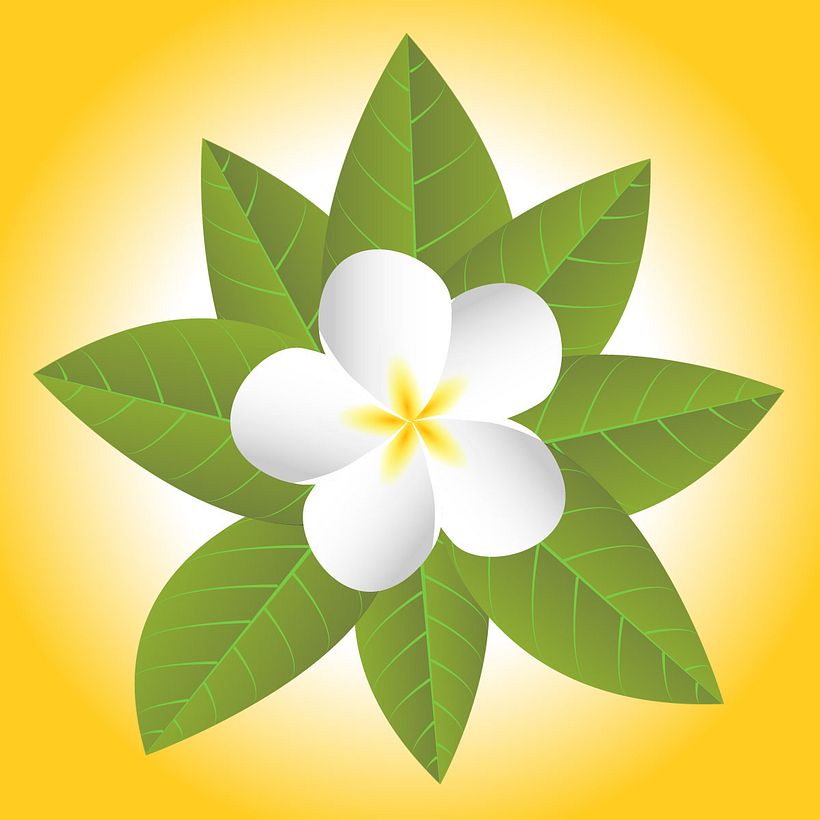 Ilustración Diseño Flores -1