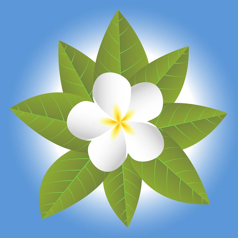 Ilustración Diseño Flores 0