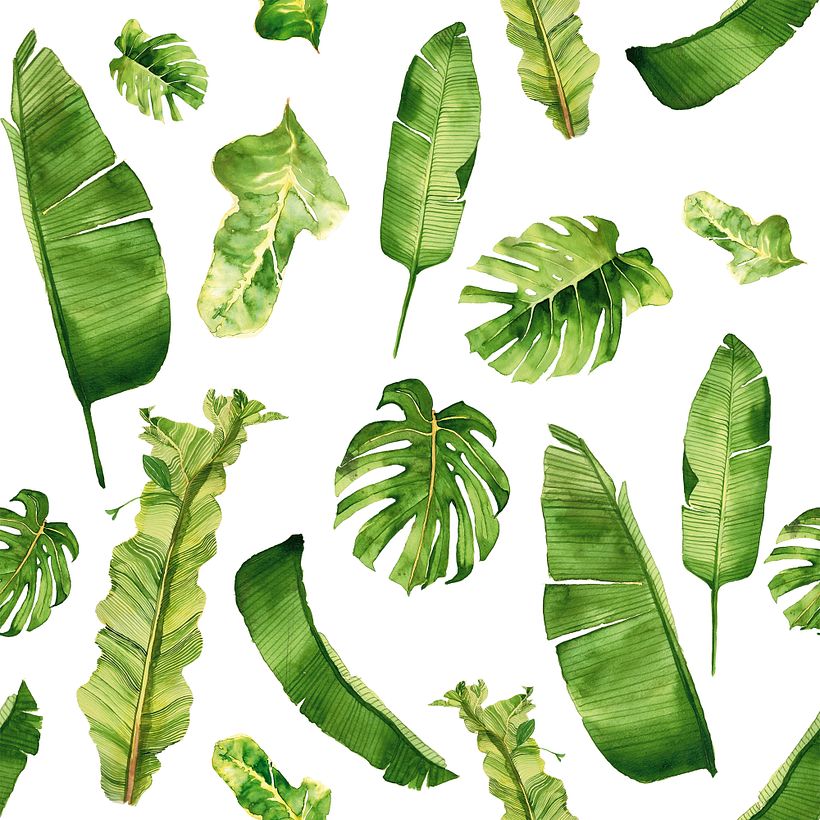 Tropical Leaves - Traditionele illustratie