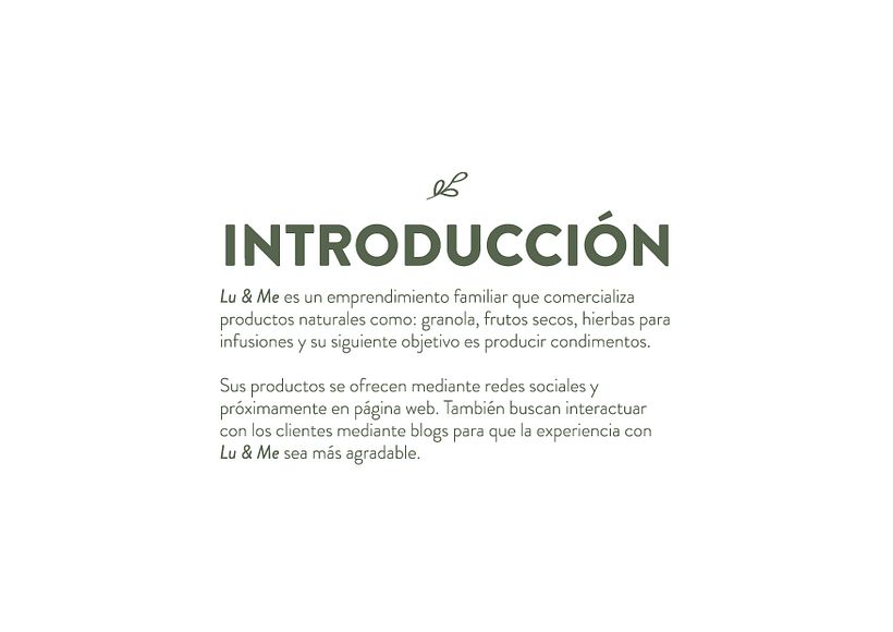 Mi Proyecto del curso: Lu&Me 0