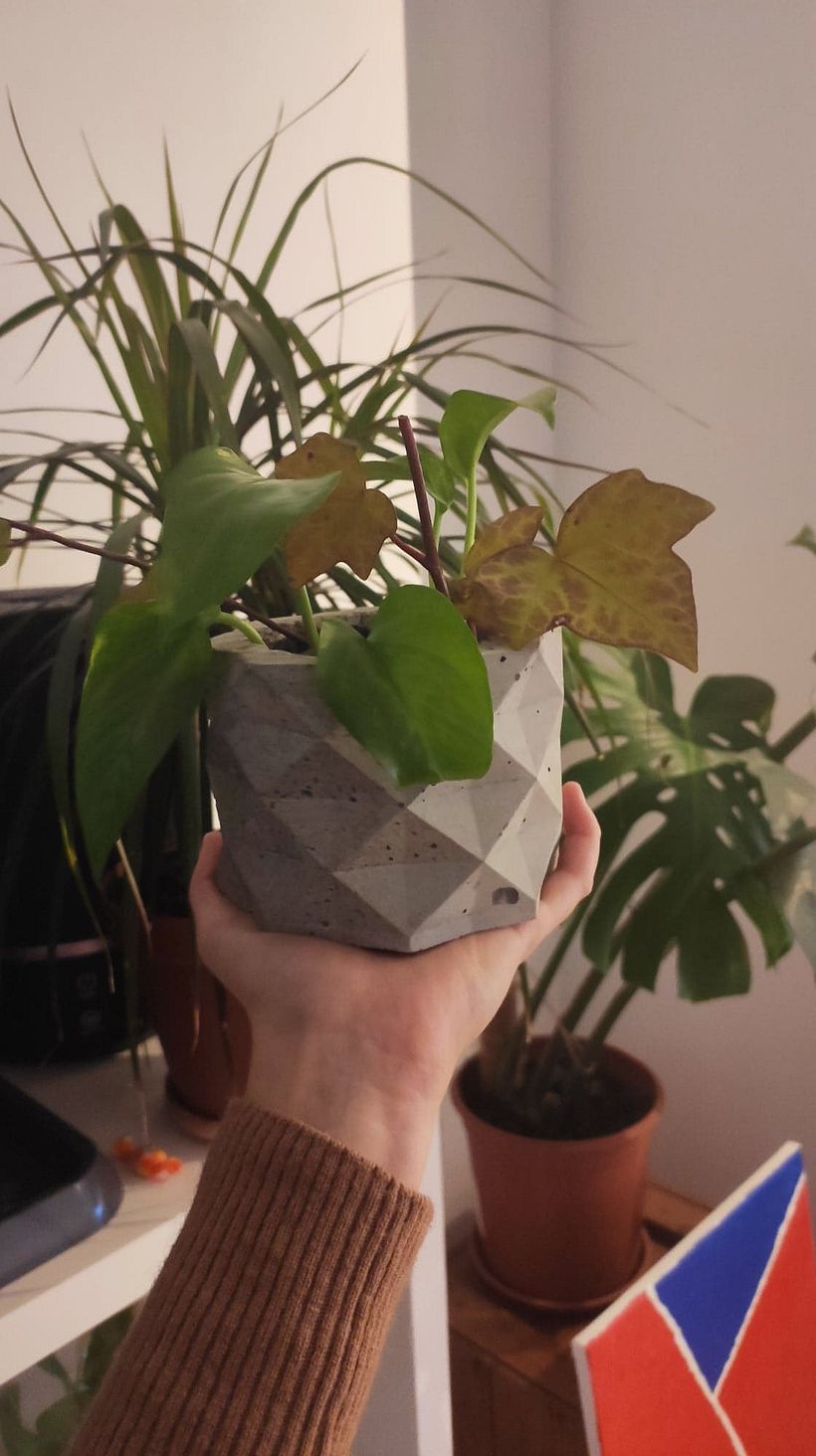 My project in Concrete Furniture Creation for Beginners course 0