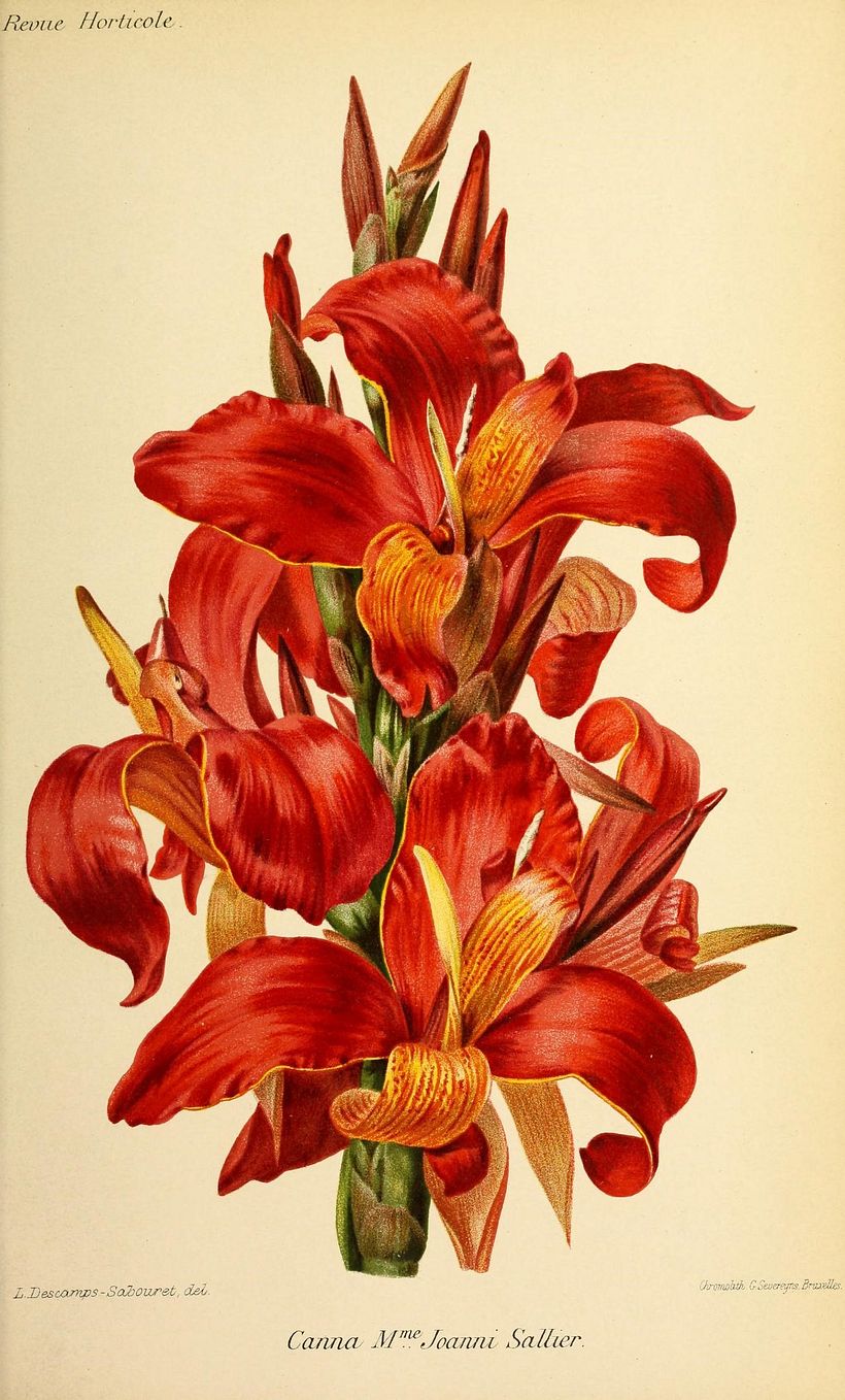 Louise Cécile Descamps Sabouret