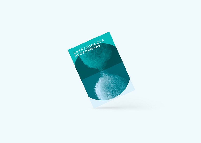 Cryptococcus 4