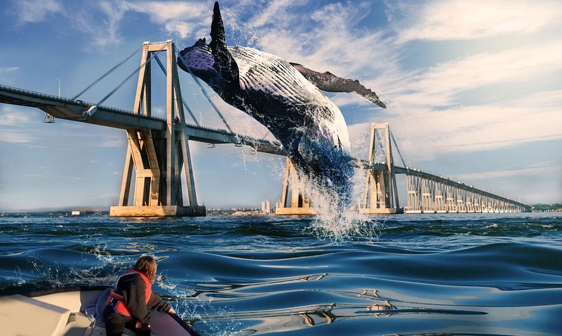 Proyecto  Fotomontaje Surrealista con Photoshop 0