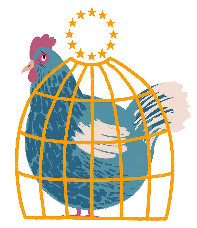 Editorial illustration: Djurens Rätt 1