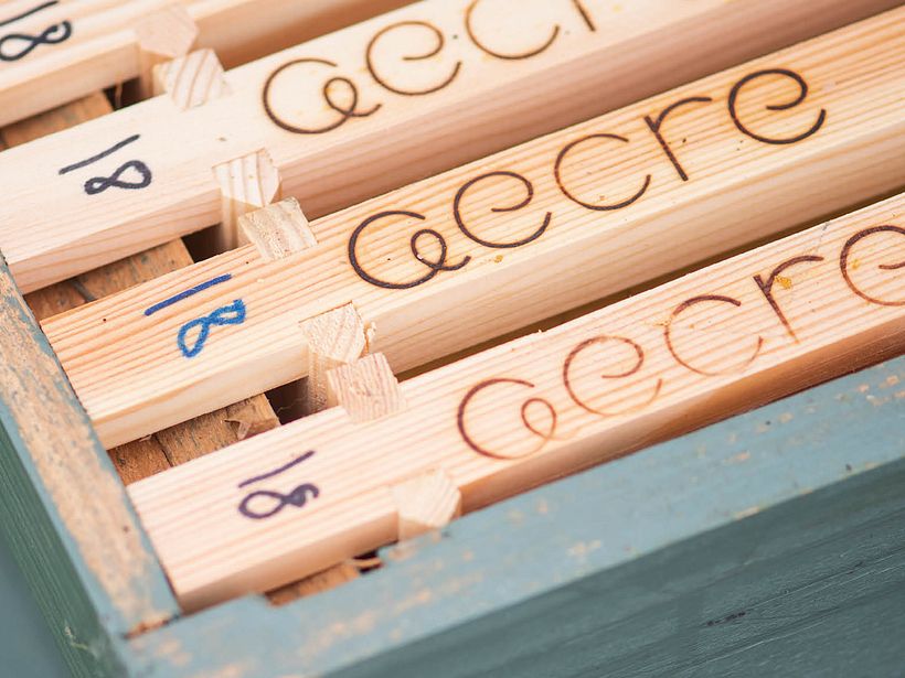 aecre honey 8
