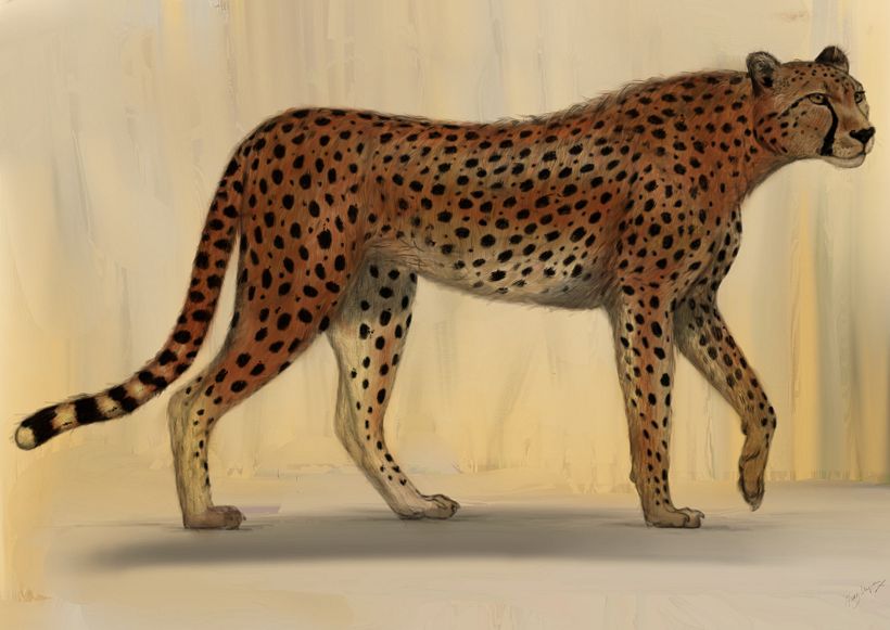 My project in Naturalist Animal Illustration with Procreate course 0