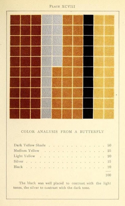 Análise de uma borboleta por, Emily Noyes Vanderpoel