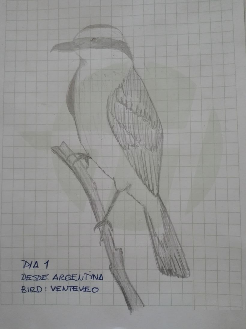 Reto Ilustración: 31 días, 31 dibujos 0