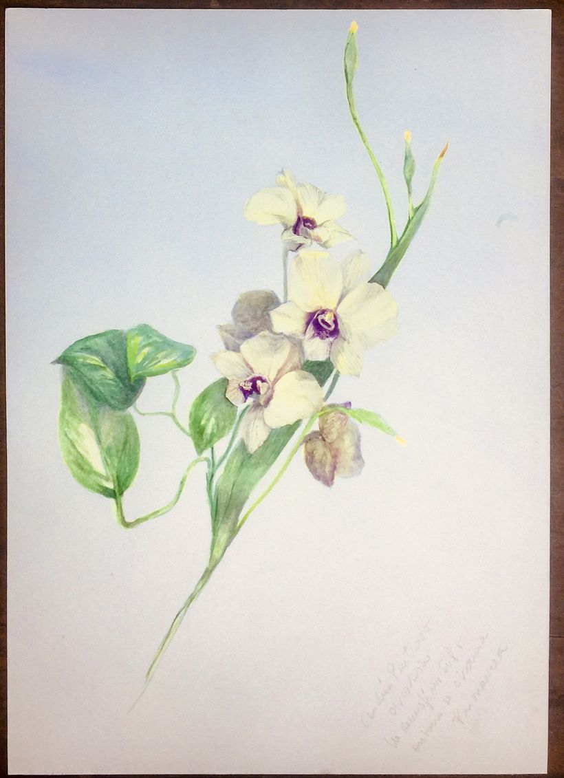 #DMSTK31dias31dibujos Dia 1 - No hemisfério Sul o outono se chama primavera