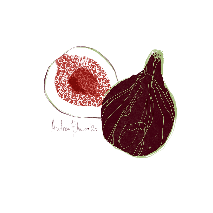 Reto Ilustración: 31 días, 31 dibujos 1