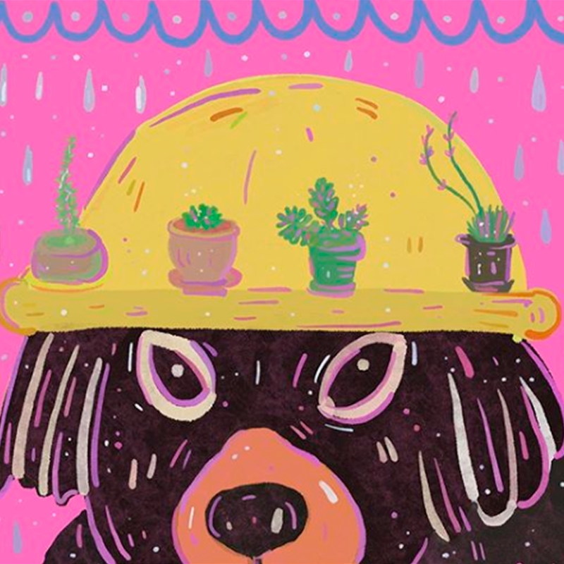 Dibujitos de los días 0