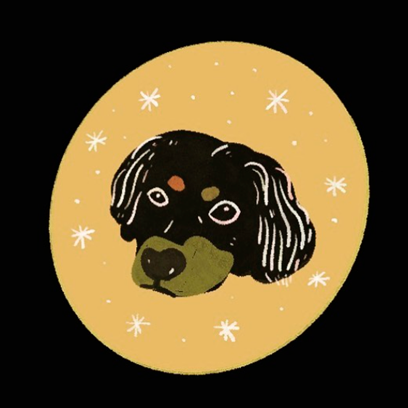 Dibujitos de los días 4