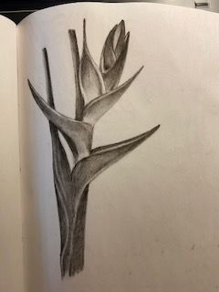 graphite