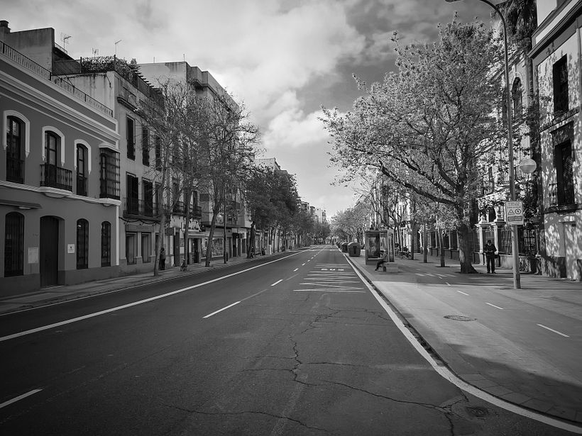 Mi Proyecto del curso: Fotografía en blanco y negro: revelado y retoque digital 0