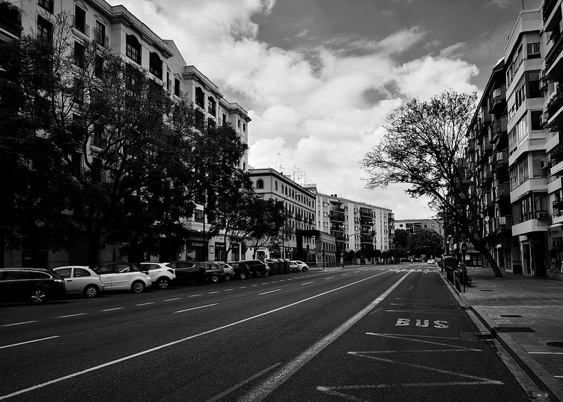 Mi Proyecto del curso: Fotografía en blanco y negro: revelado y retoque digital 1