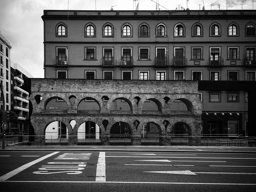 Mi Proyecto del curso: Fotografía en blanco y negro: revelado y retoque digital 6