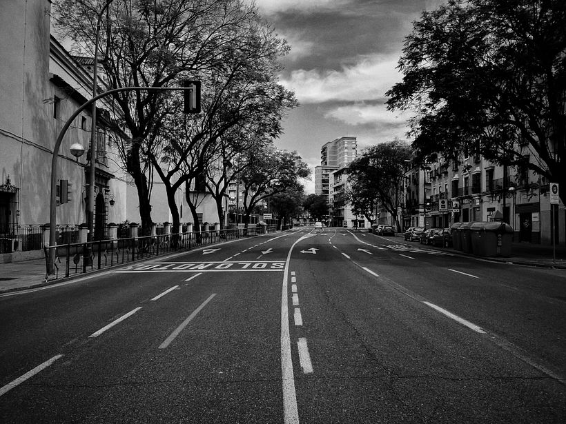 Mi Proyecto del curso: Fotografía en blanco y negro: revelado y retoque digital 7