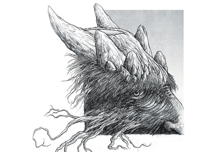 Escritura e ilustración del libro "Animal" 5