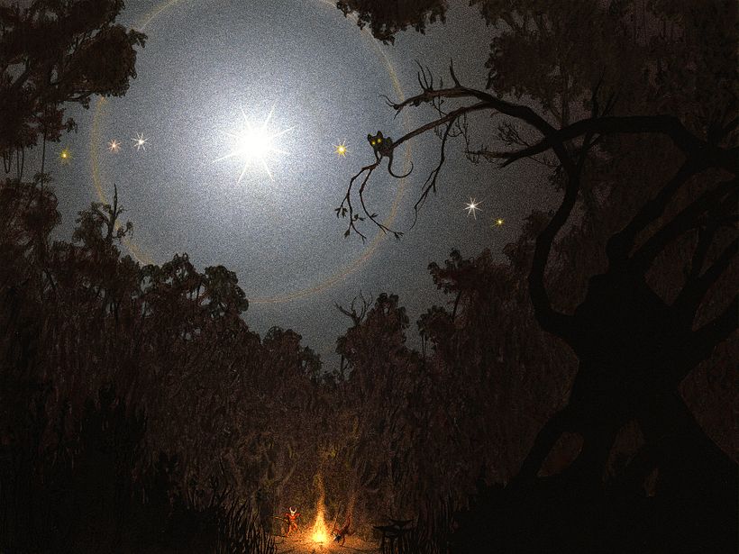 Escritura e ilustración del libro "Xolos" 0