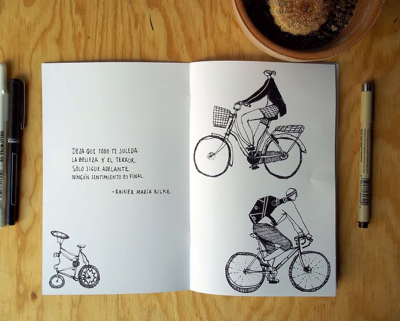 DIARIOS DE BICICLETA 1