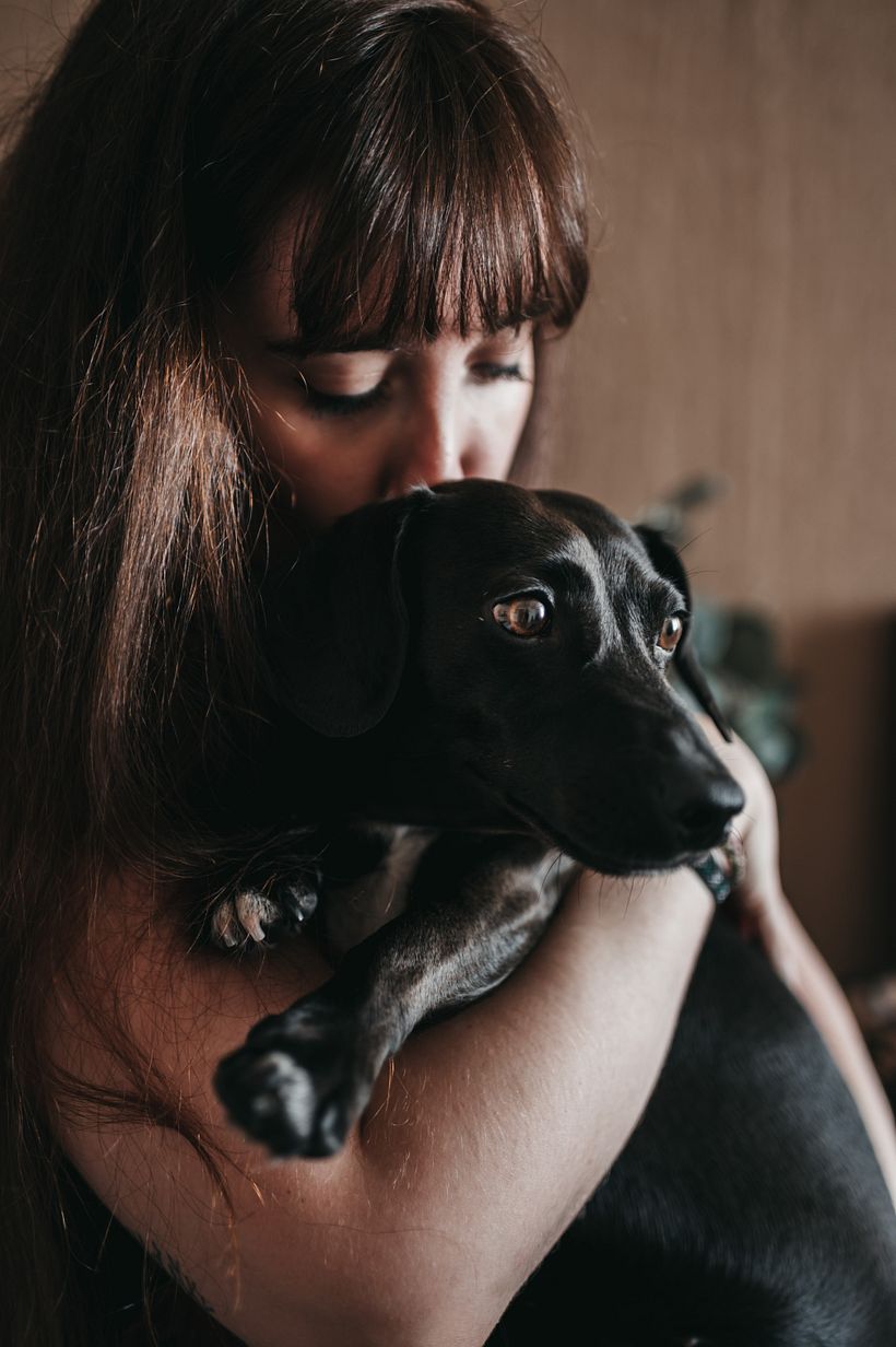 Mi Proyecto del curso: Fotografía lifestyle de perros 2