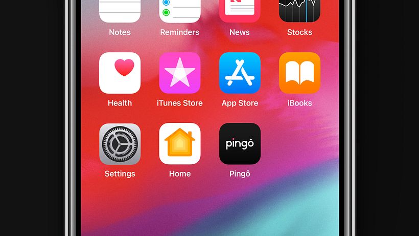 Pingô - Brand Development 9