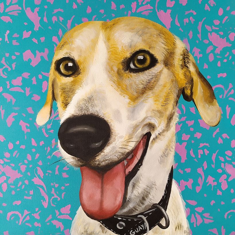 Retratos de Mascotas  8