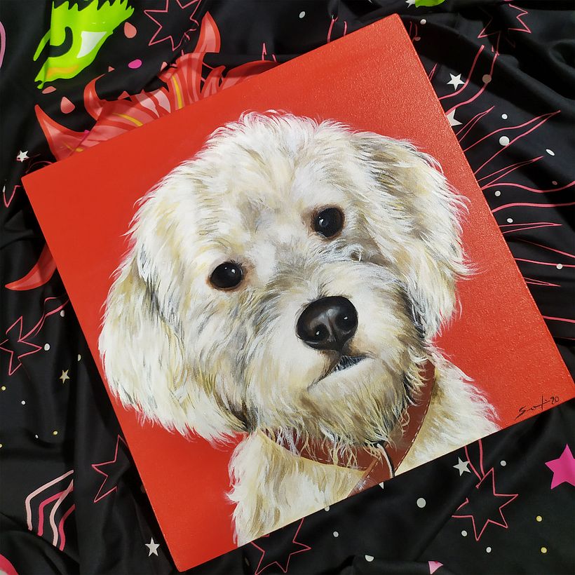 Retratos de Mascotas  14