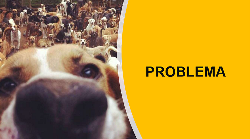 Mi Proyecto del curso: Creatividad publicitaria para todos los públicos 0