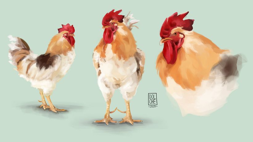 GALLO 0