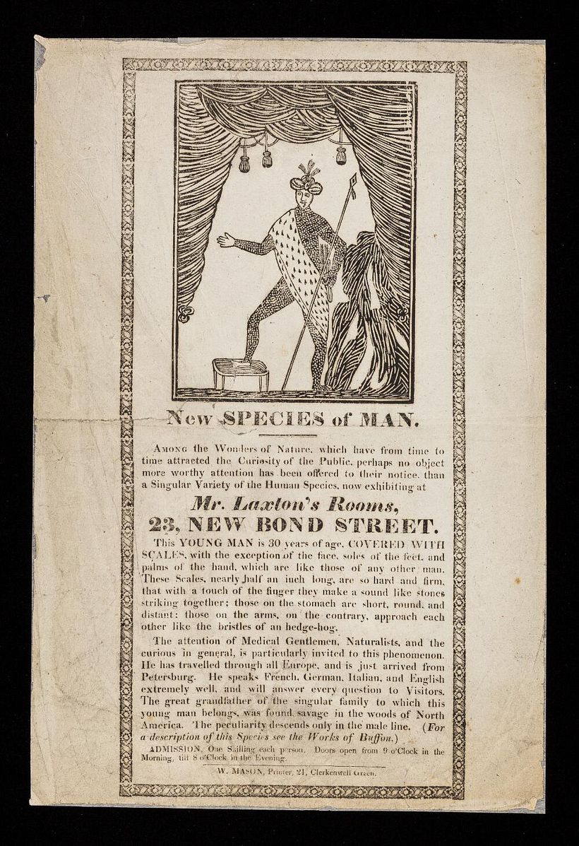 New Species of Man (ca. 1810-1820). Advert from Mr. Laxton’s Room