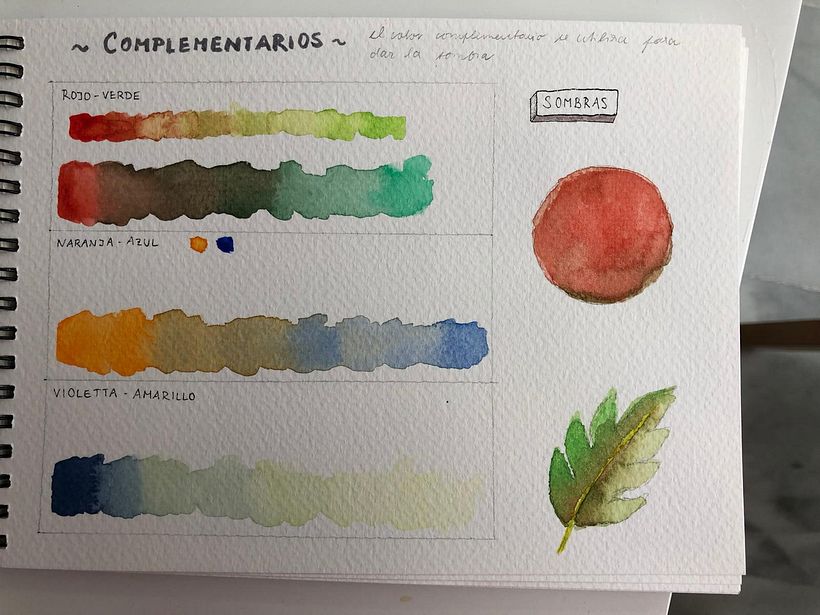 Mi proyecto del curso 5