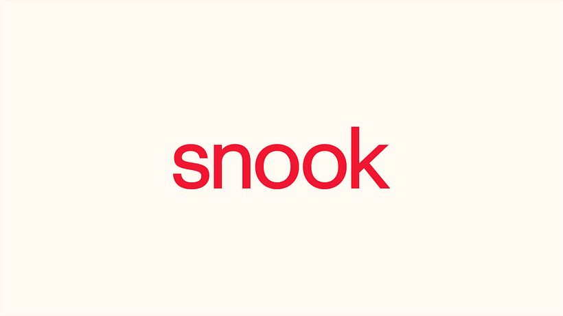 Snook: Rebranding for growth 2