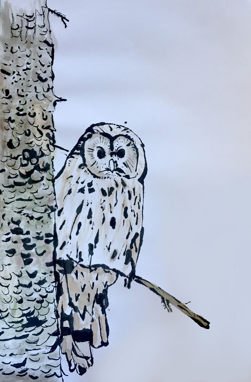 My project in From Beginner to Superillustrator course 0