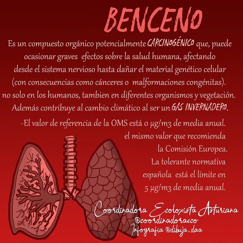 Infografía para la Coordinadora Ecoloxista Asturiana.