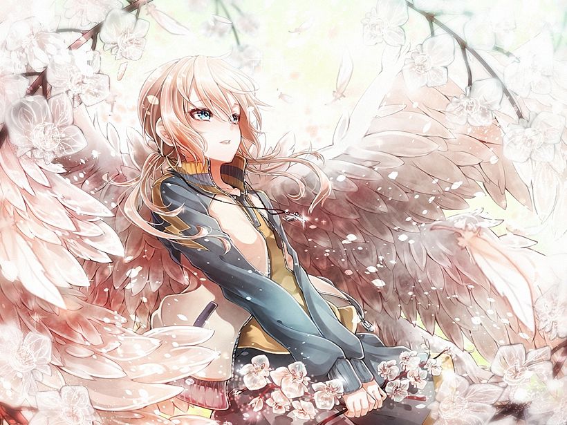 anime 0