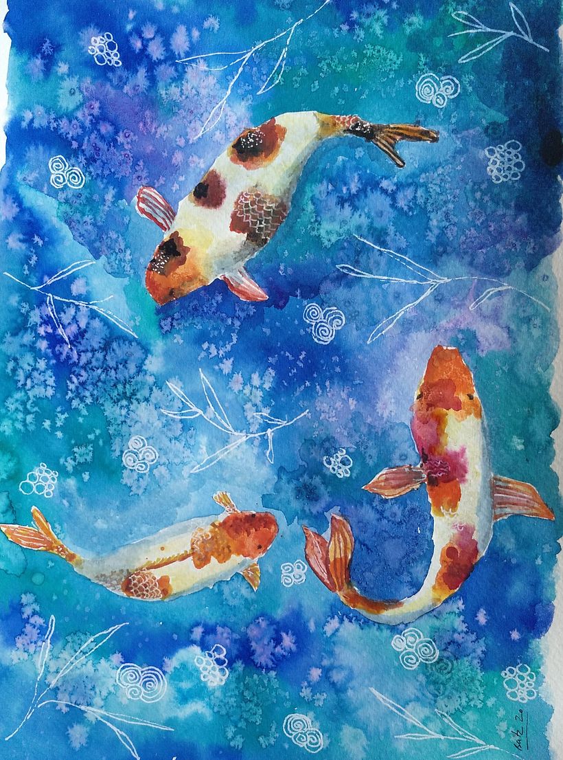 Día 13: peces disfrutando del agua