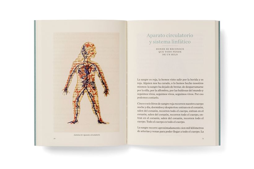 This Body is Human 4